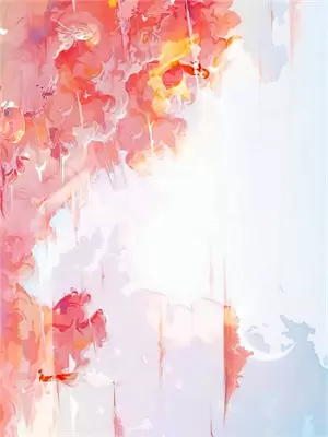 缅北西非日记