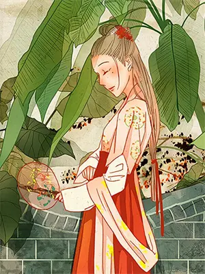 月照江淮简介
